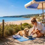 Keeping Your Pets Safe During a Heatwave on Holiday in Cornwall